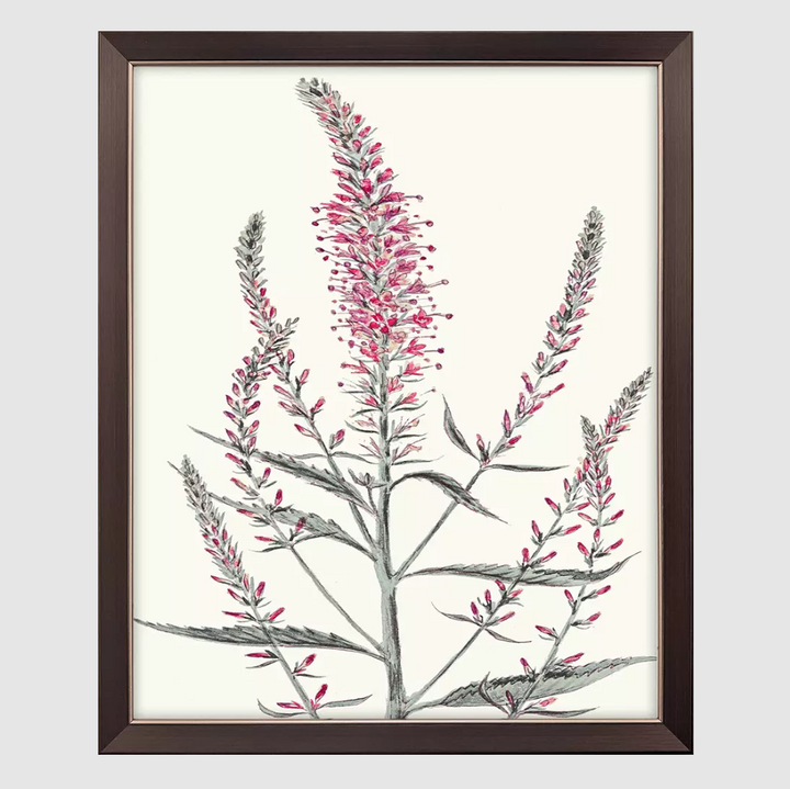 Pink Veronique I - 13 Hub Lane   |  