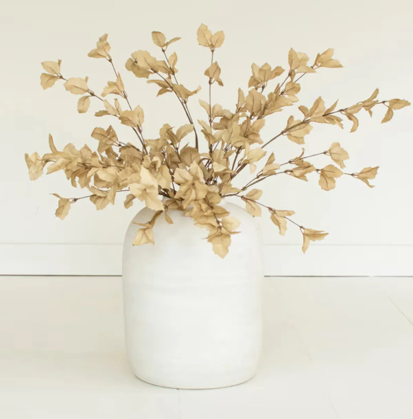 Botanica #9038