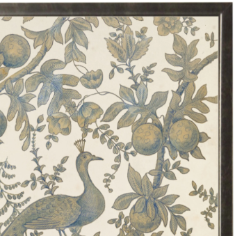 Vintage Peacock Toile