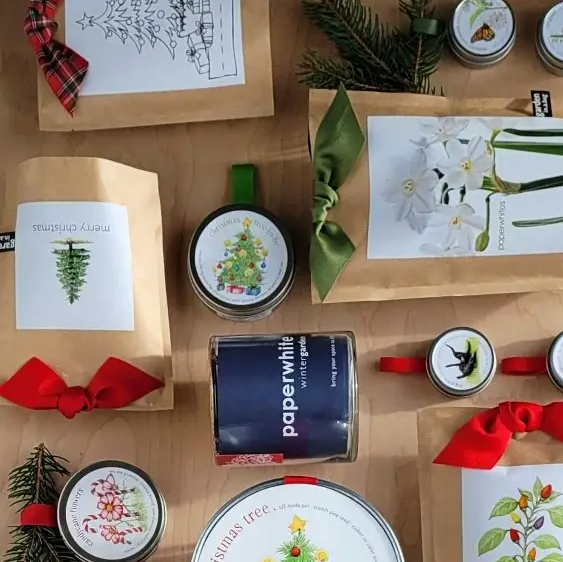 Garden in a Bag, Christmas Tree