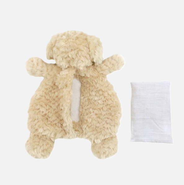 Bentley Golden Doodle - Cuddle Bud