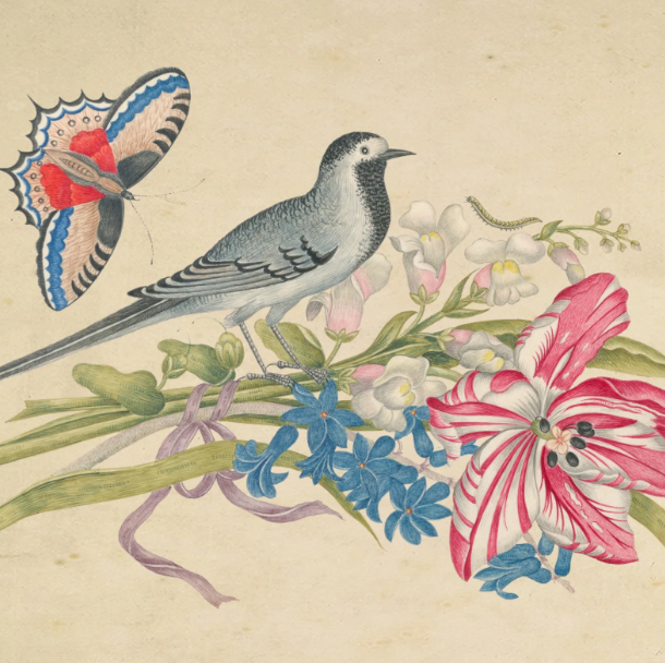 Birds & Blooms Bookplate M
