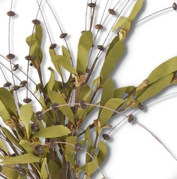 Black Bead Bud Spray w/ Foliage