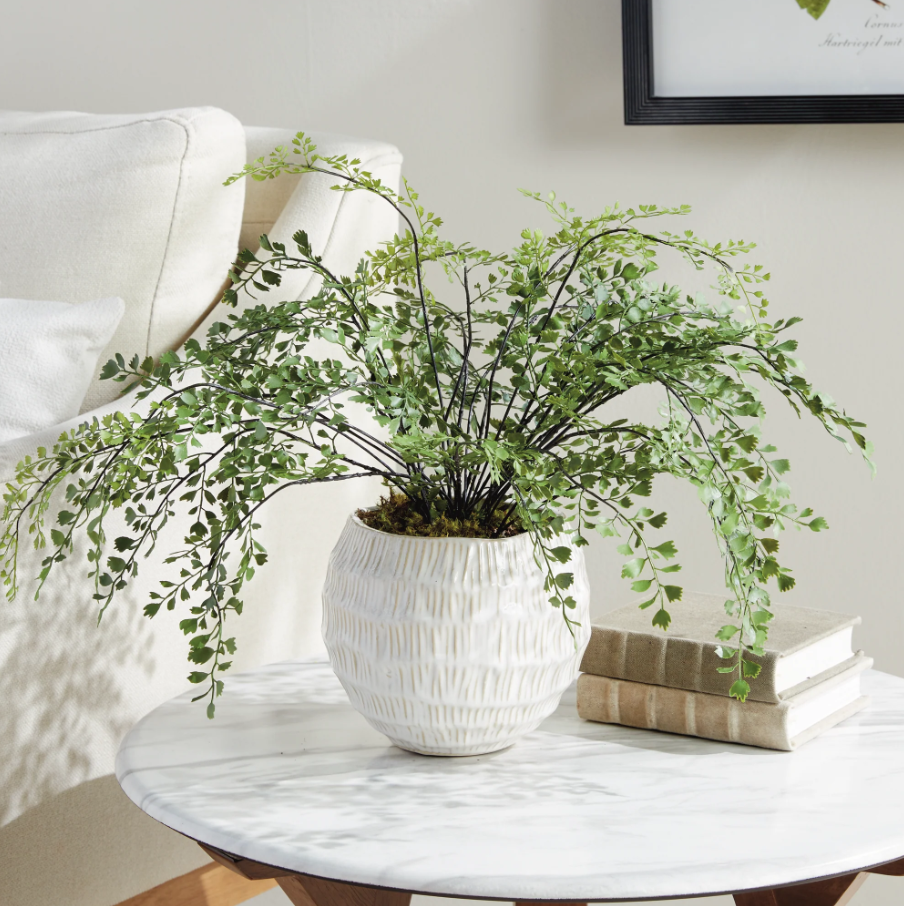 Vista Pot - Thumbnail 3