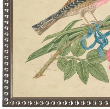 Birds & Blooms Bookplate O