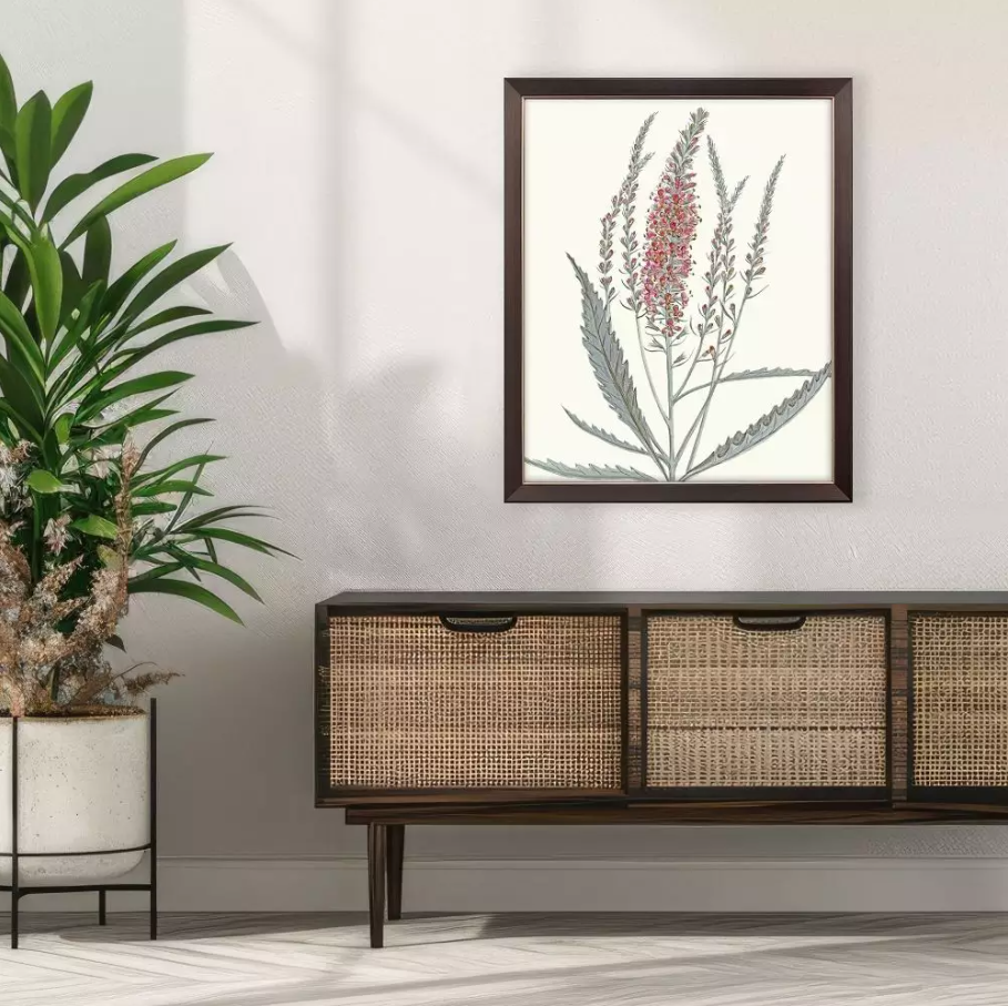 Pink Veronique II - 13 Hub Lane   |  