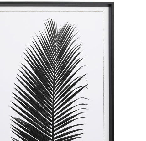 Black Frond I - 13 Hub Lane   |  Under Glass Prints & Art