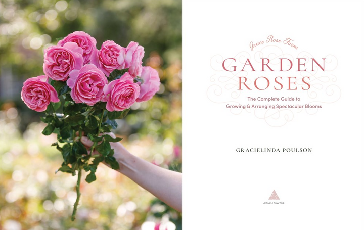 Grace Rose Farm: Garden Roses - 13 Hub Lane   |  