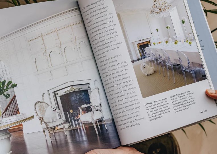 Cool Dogs, Cool Homes: Living in Style With Your Dog
