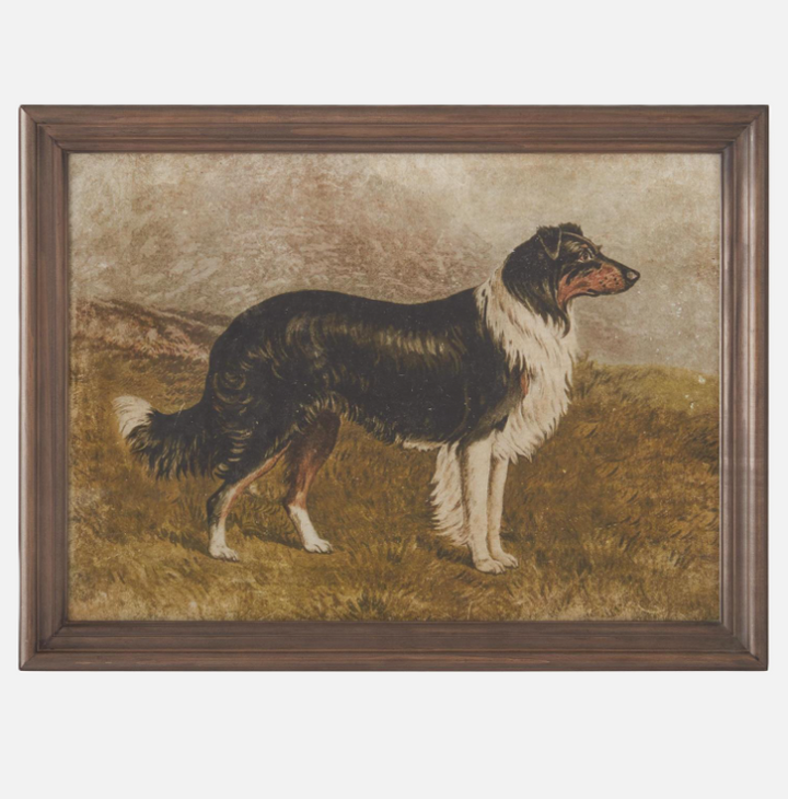 Framed Dog Print