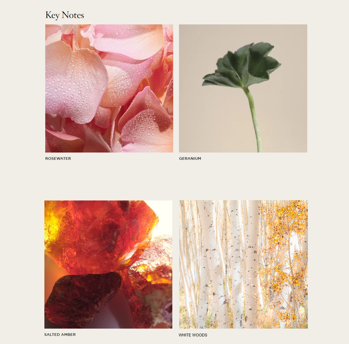 NEST Himalayan Salt & Rosewater Reed Diffuser