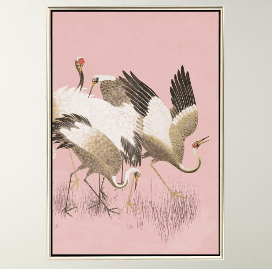 Curious Cranes - Preen - 13 Hub Lane   |  Canvas Art