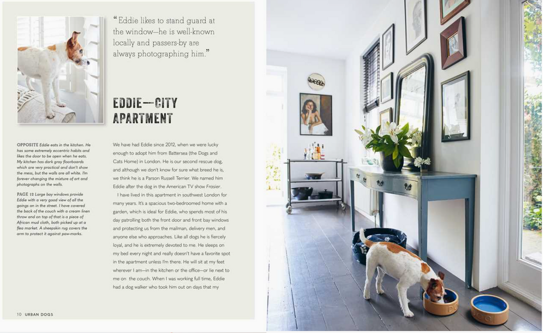 Cool Dogs, Cool Homes: Living in Style With Your Dog