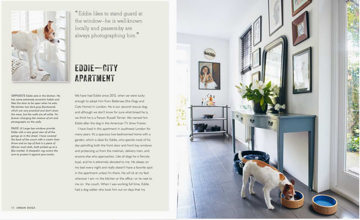 Cool Dogs, Cool Homes: Living in Style With Your Dog