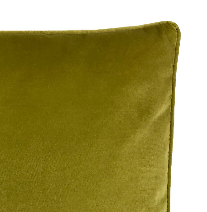 Como Wasabi Velvet Pillow - 13 Hub Lane   |  