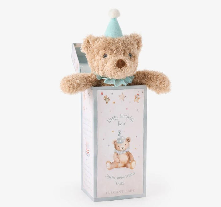 Aqua Birthday Bear Plush Toy w/ Gift Box