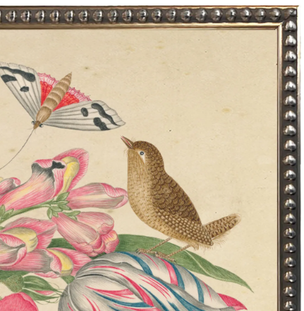 Birds & Blooms Bookplate O