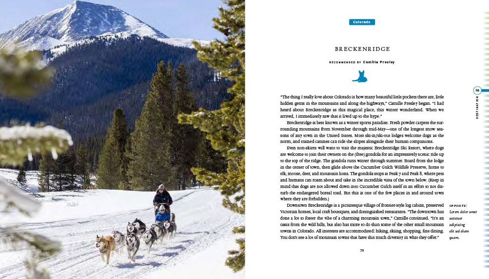 Fifty Places To Travel With Your Dog - 13 Hub Lane   |  