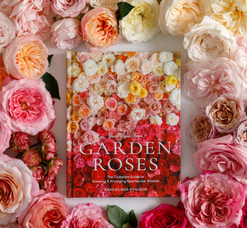 Grace Rose Farm: Garden Roses - 13 Hub Lane   |  