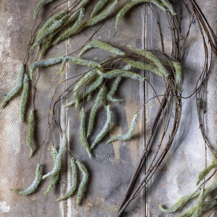 Artificial Trailing Catkin Stem - 13 Hub Lane   |  Botanical Stems