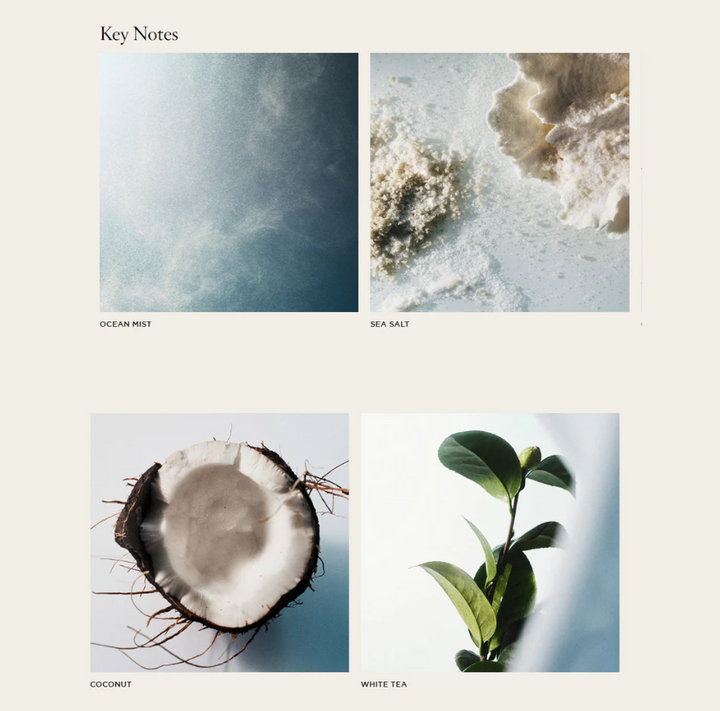 NEST Ocean Mist & Sea Salt Pura Refill Duo