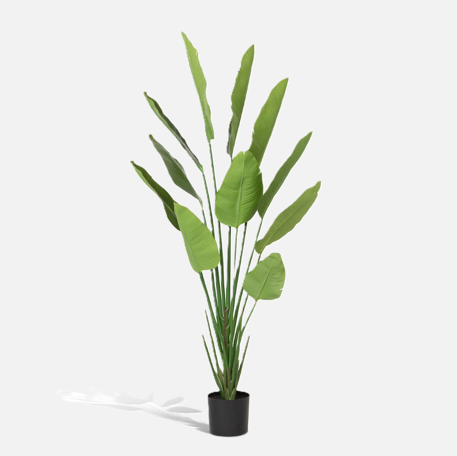Faux Traveler Palm w/ Black Pot