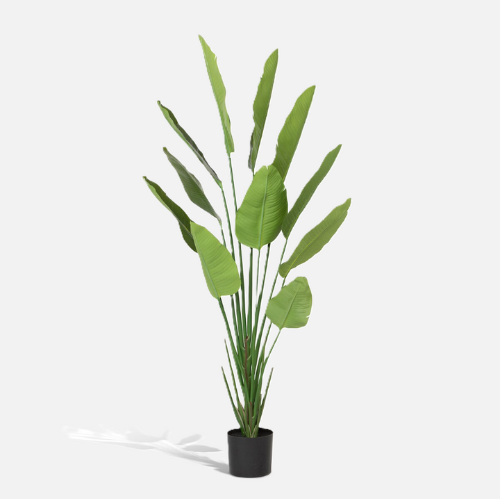 Faux Traveler Palm w/ Black Pot