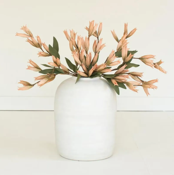 Botanica #9039