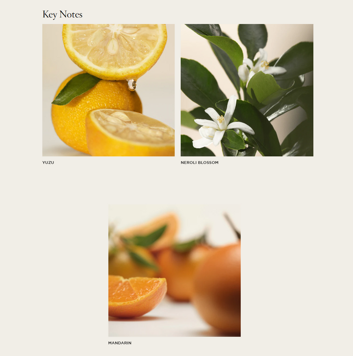 NEST Sunlit Yuzu & Neroli Reed Diffuser - 13 Hub Lane   |  Sunlit Yuzu & Neroli