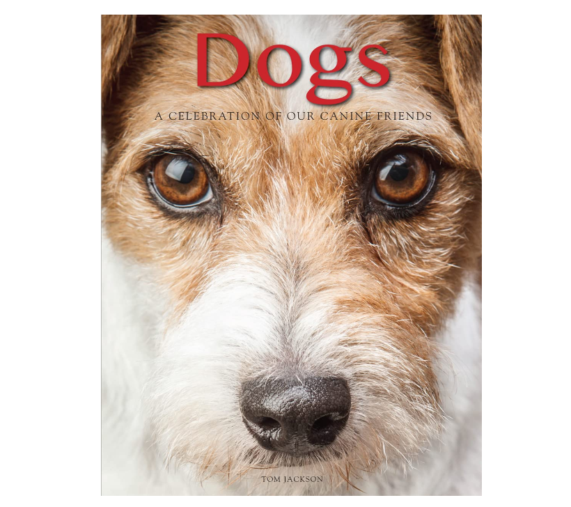 Dogs: A Celebration of Our Canine Friends - 13 Hub Lane   |  