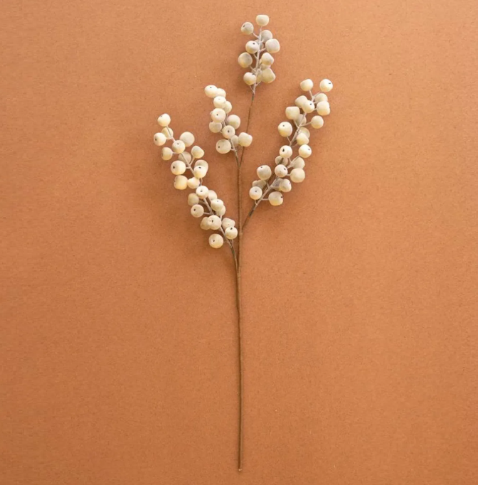 Botanica #9067