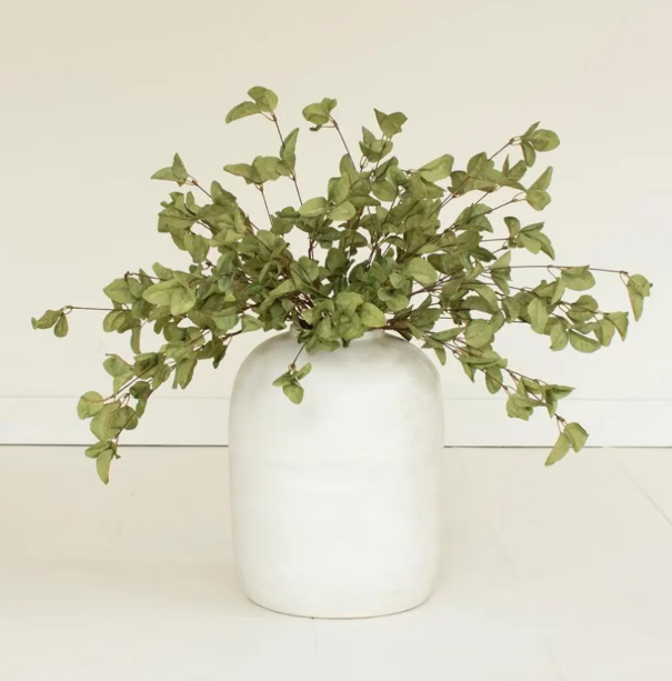 Botanica #9035