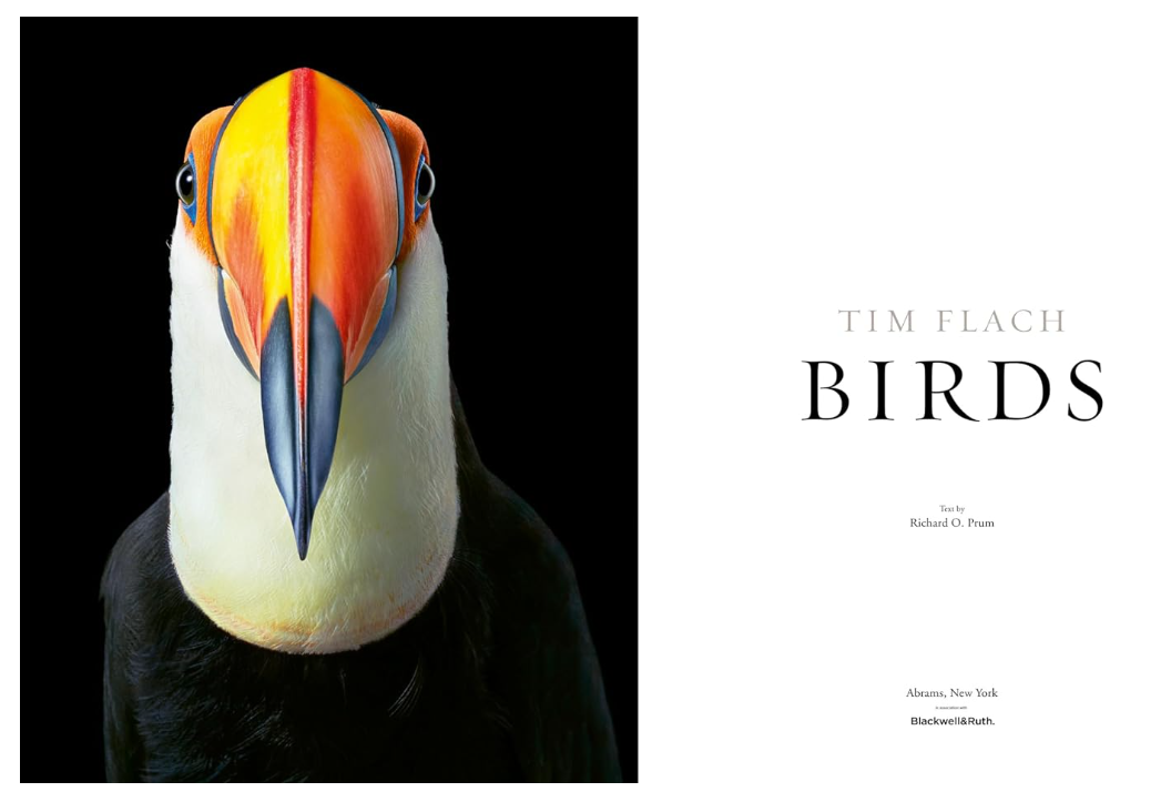 Birds by Tim Flach & Richard O. Prum - 13 Hub Lane   |  
