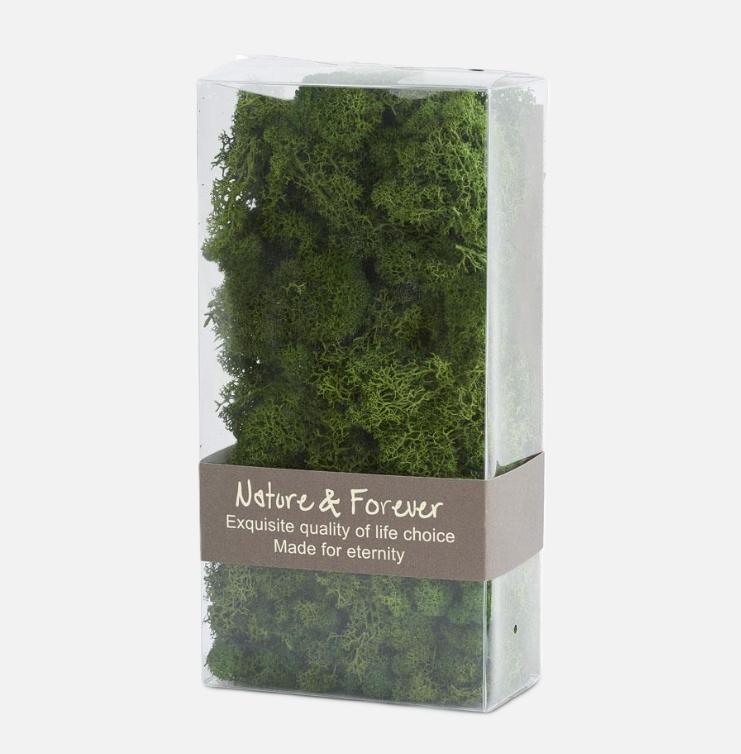 Preserved Reindeer Moss