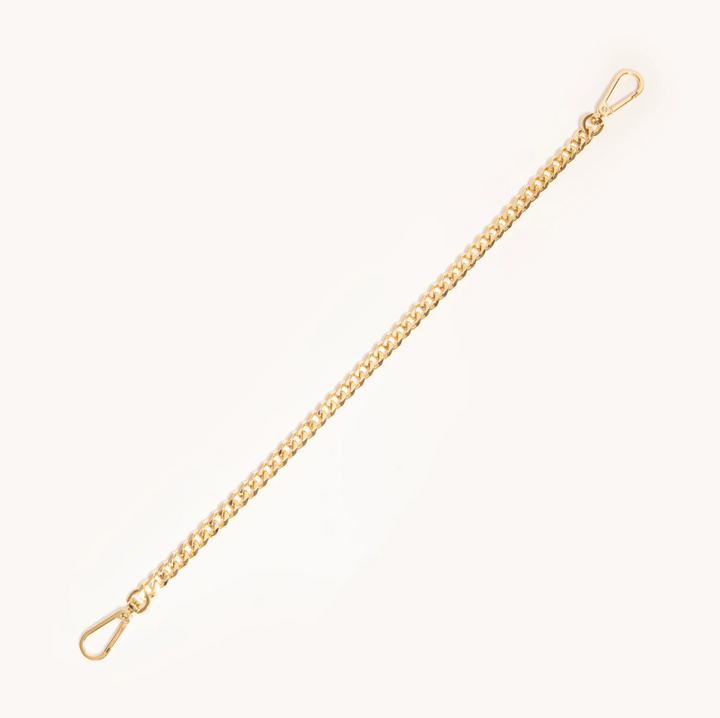 Hammitt Metal Chain Shoulder Strap - 13 Hub Lane   |  
