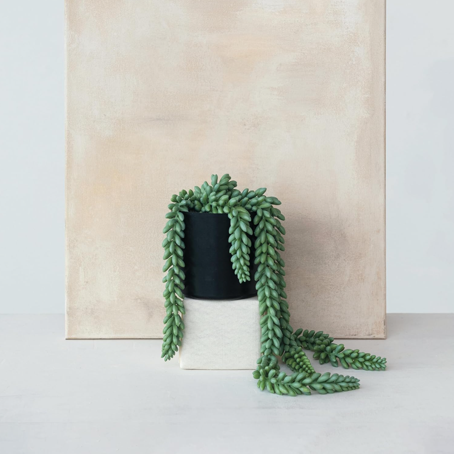 faux potted donkey tail plant Verdant Faux Donkey Tail in Pot