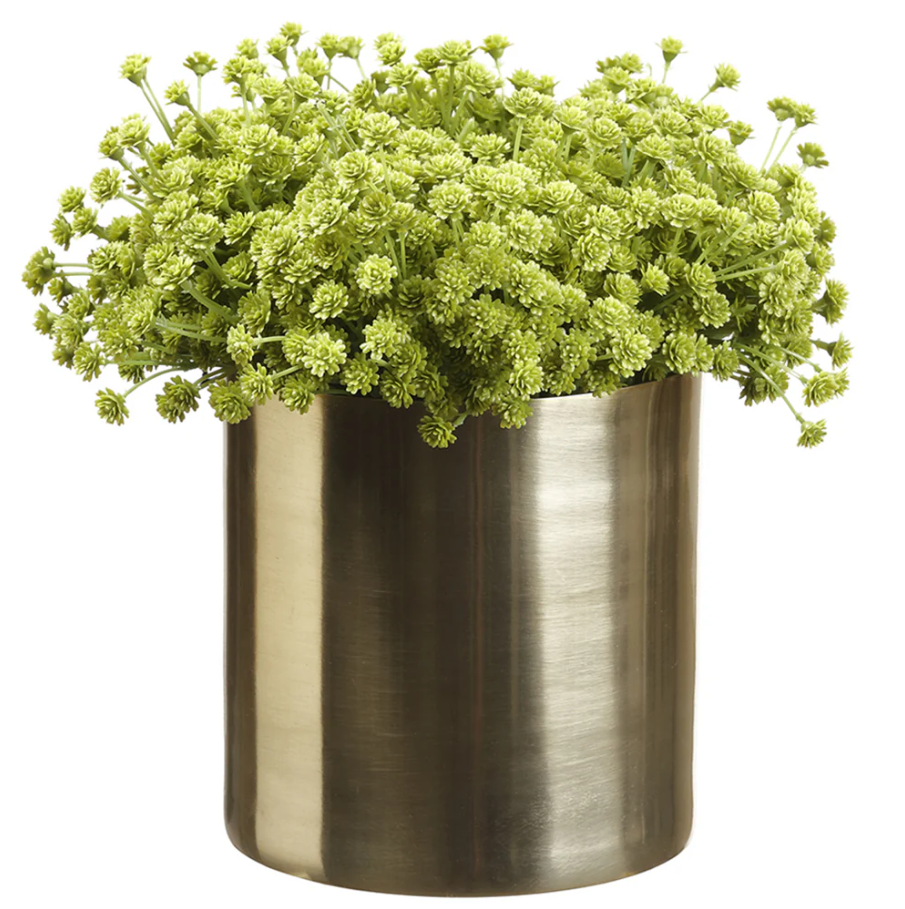 Artificial Baby's Breath w/ Cylinder Container - 13 Hub Lane   |  Floral Arrangements