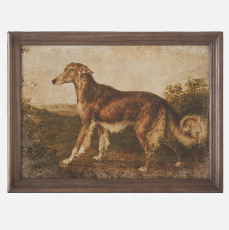 Framed Dog Print