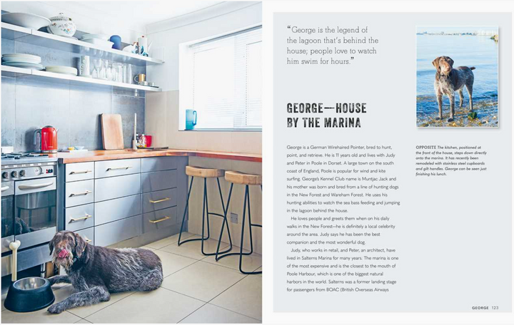 Cool Dogs, Cool Homes: Living in Style With Your Dog