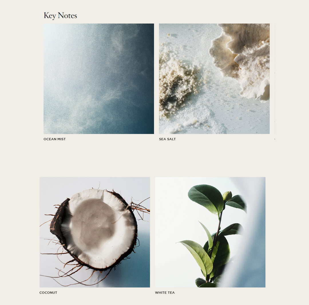 NEST Ocean Mist & Sea Salt Classic Candle