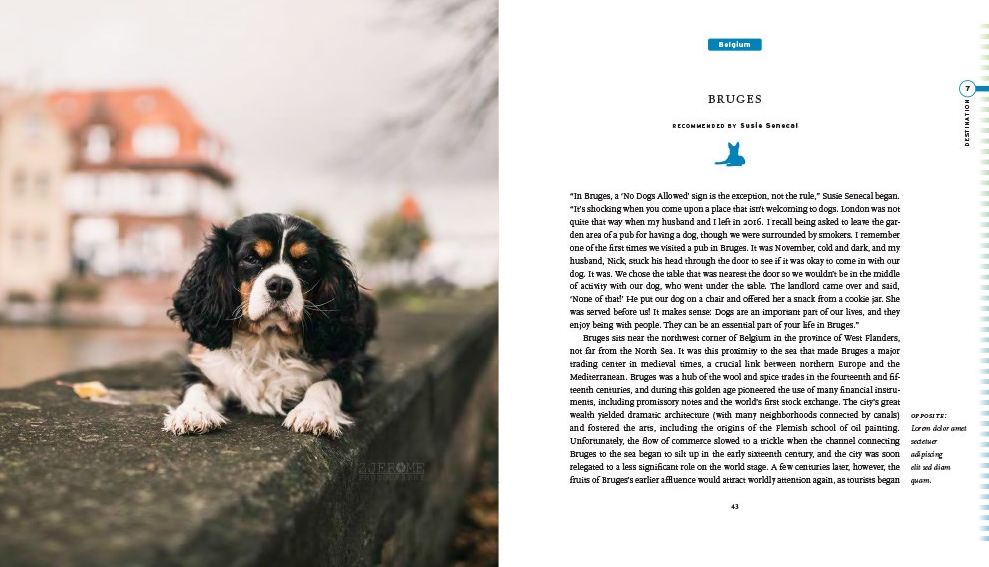 Fifty Places To Travel With Your Dog - 13 Hub Lane   |  