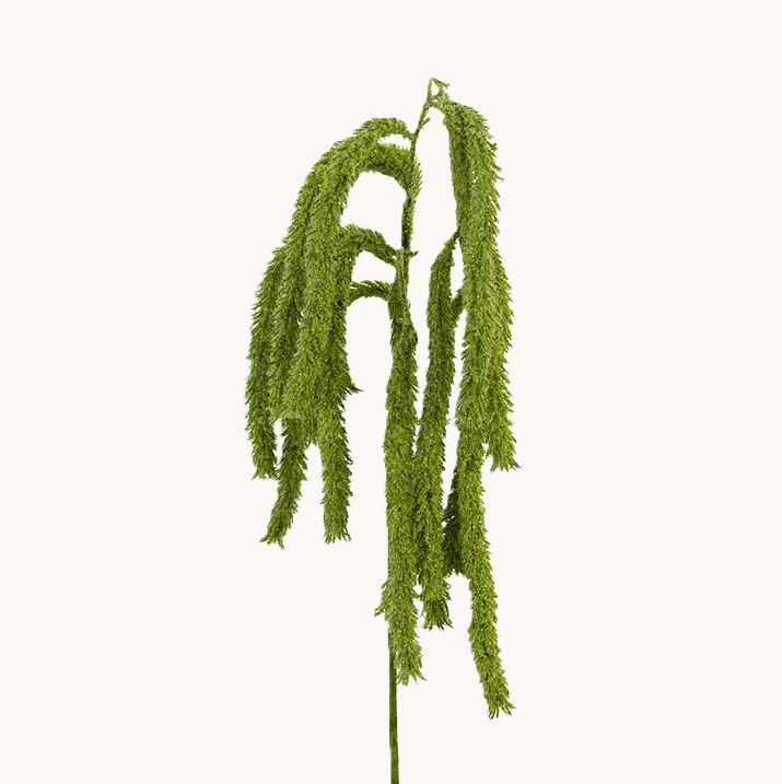 Hanging Amaranthus, Green