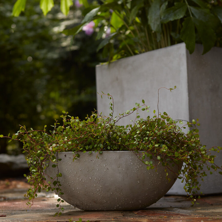 Newport Boat - 13 Hub Lane   |  Concrete Planters
