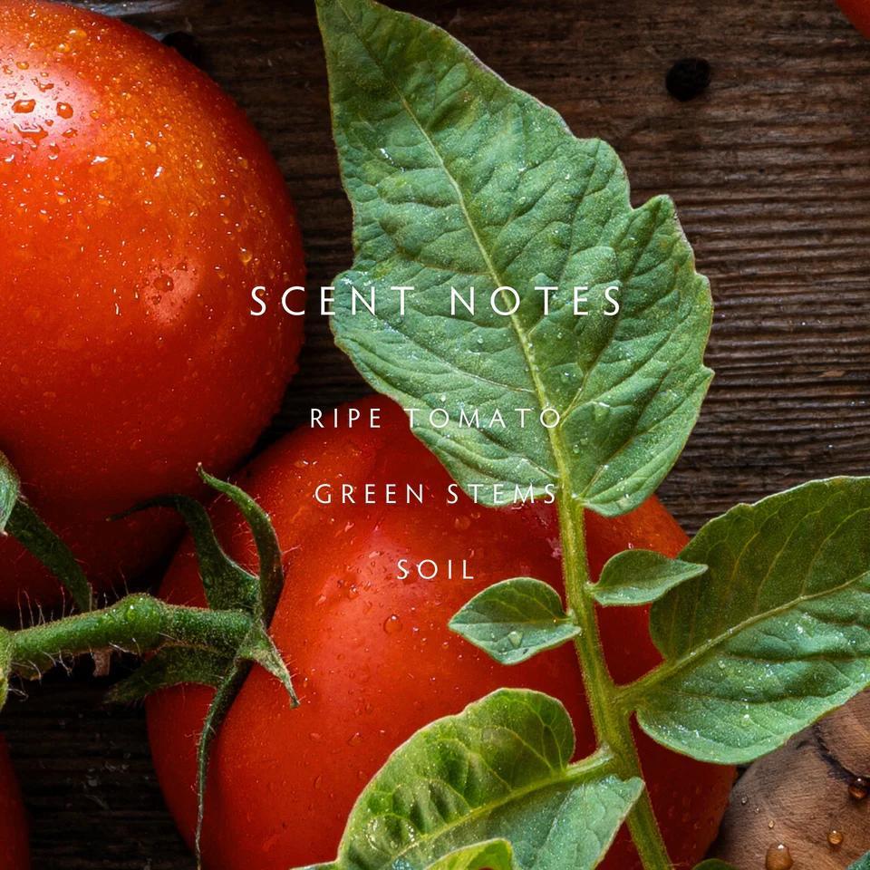 Linnea Heirloom Tomato Two-Wick Candle