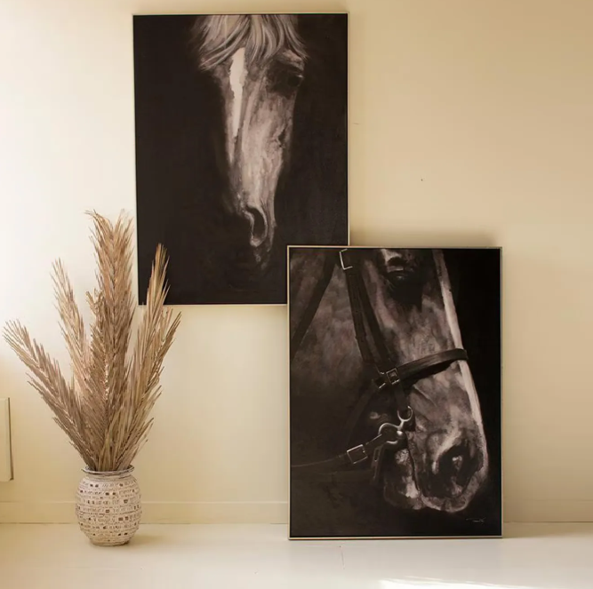 Black & White Side View Horse