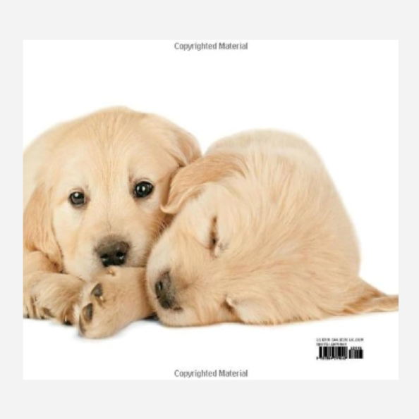 Puppyhood: Life-Size Portraits of Puppies at 6 Weeks Old