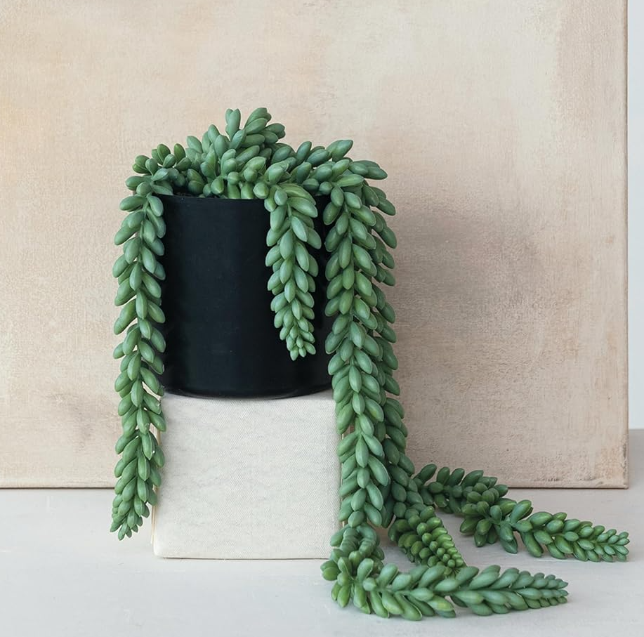 faux potted donkey tail plant Verdant Faux Donkey Tail in Pot – 13 Hub Lane