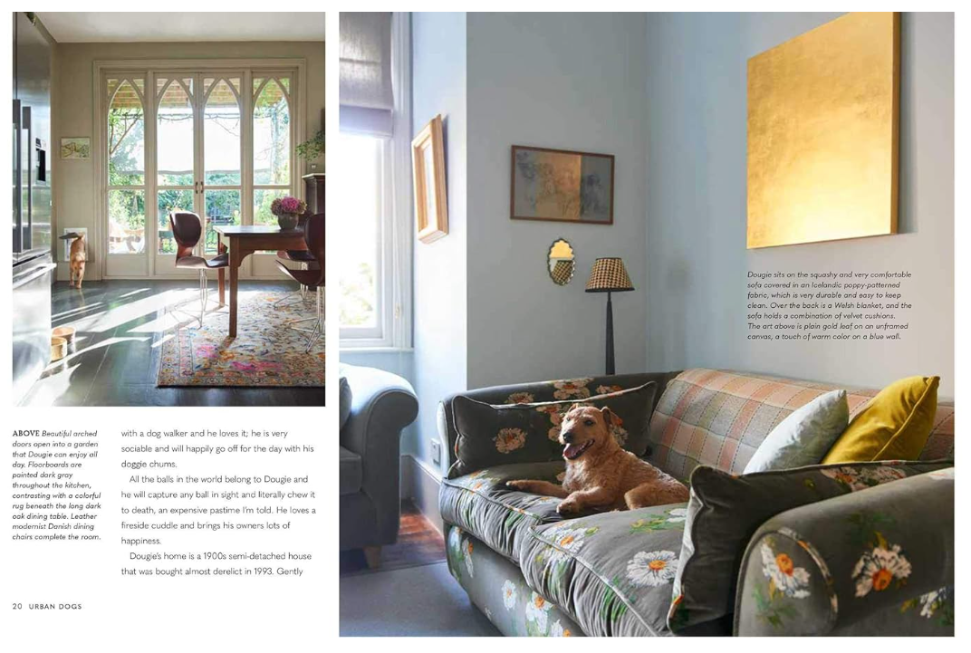 Cool Dogs, Cool Homes: Living in Style With Your Dog
