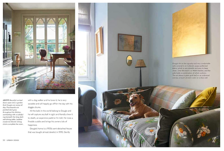 Cool Dogs, Cool Homes: Living in Style With Your Dog