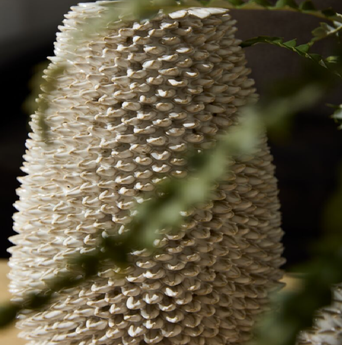 Ismene Vase - 13 Hub Lane   |  